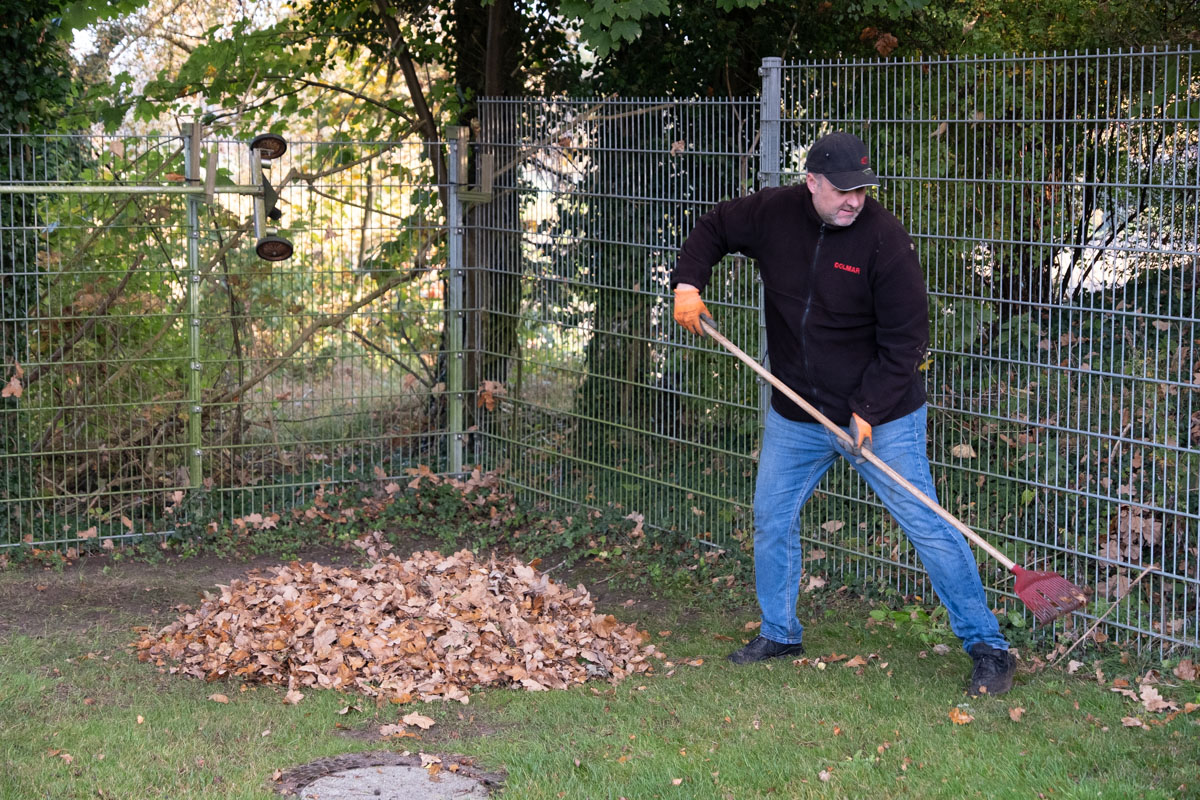Naturbad Sauensiek Herbstaktion