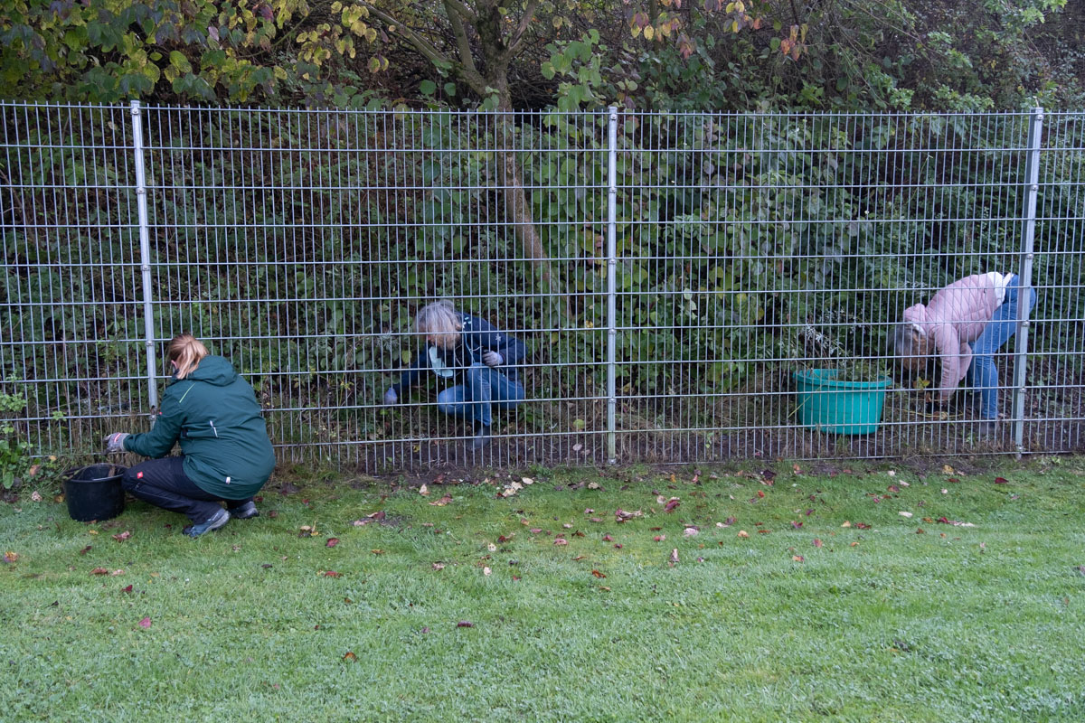 Naturbad Sauensiek Herbstaktion