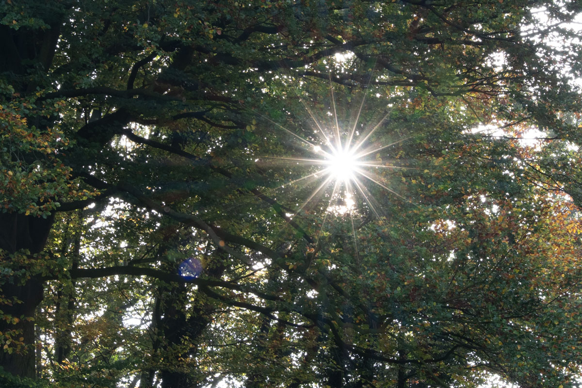 Naturbad Sauensiek Herbstaktion