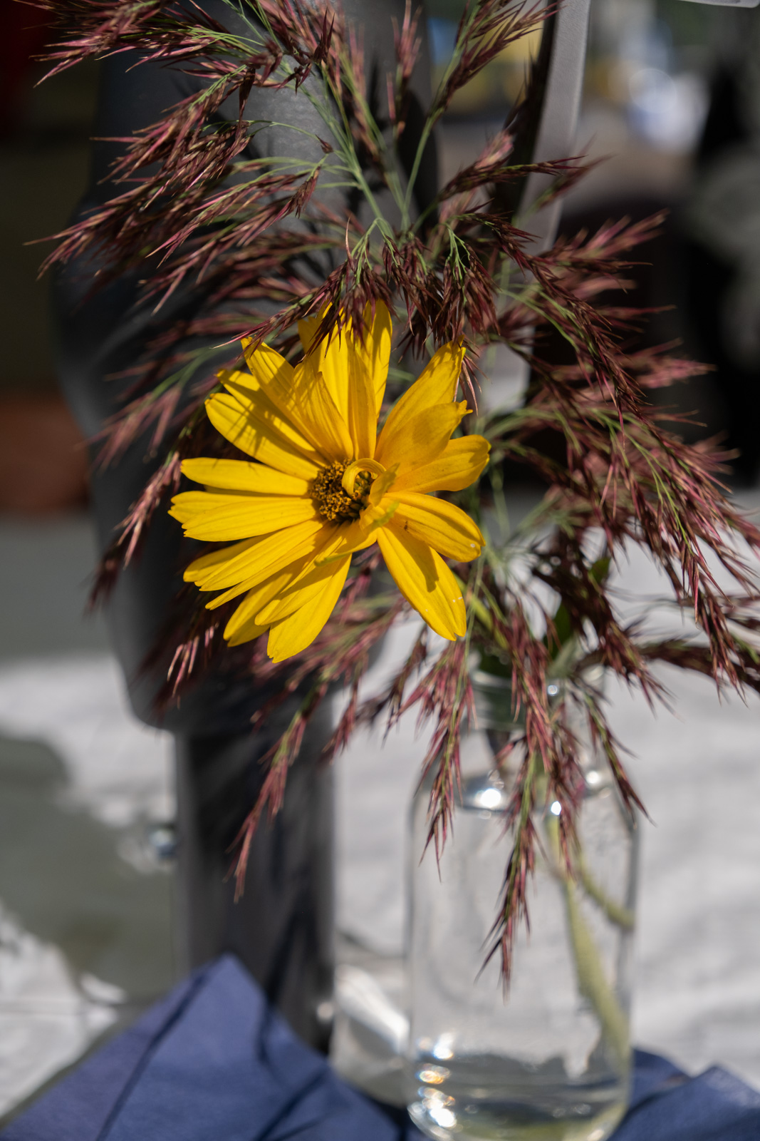 Naturbad Sauensiek Helferfest 2025