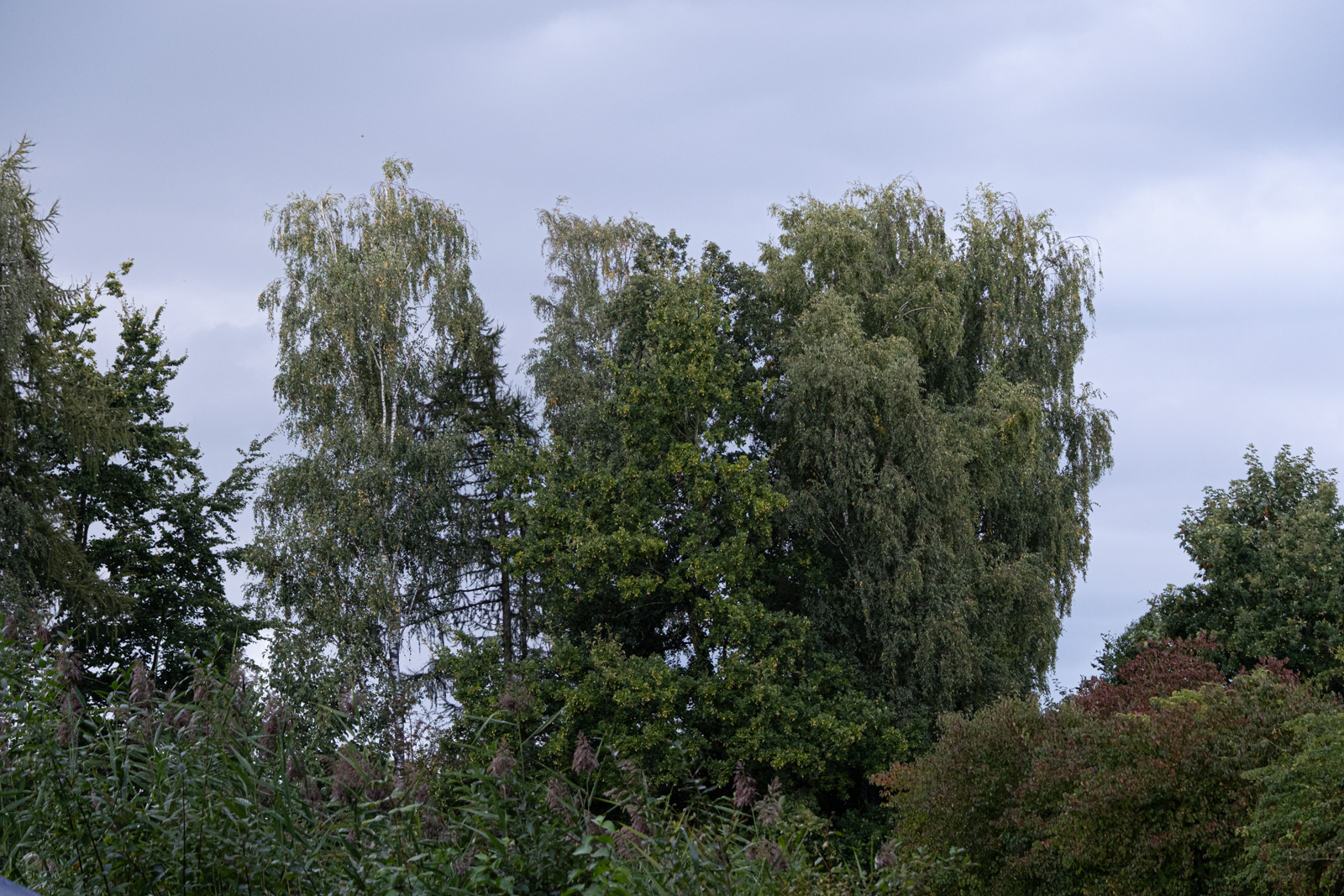 Naturbad Sauensiek Helferfest 2025