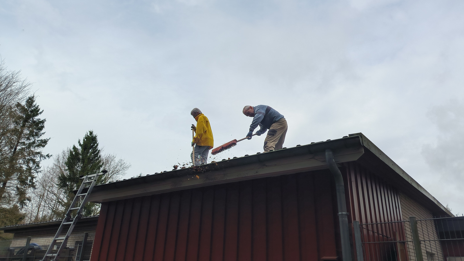 Naturbad Sauensiek Frühjahrsarbeiten 2026