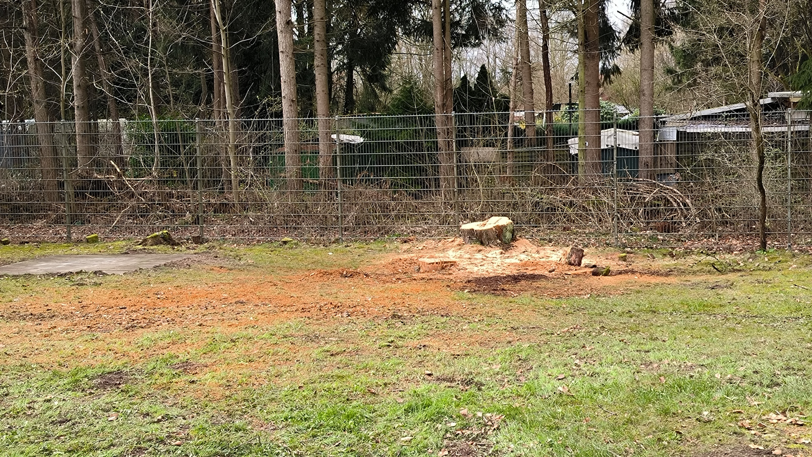 Naturbad Sauensiek Frühjahrsarbeiten 2026