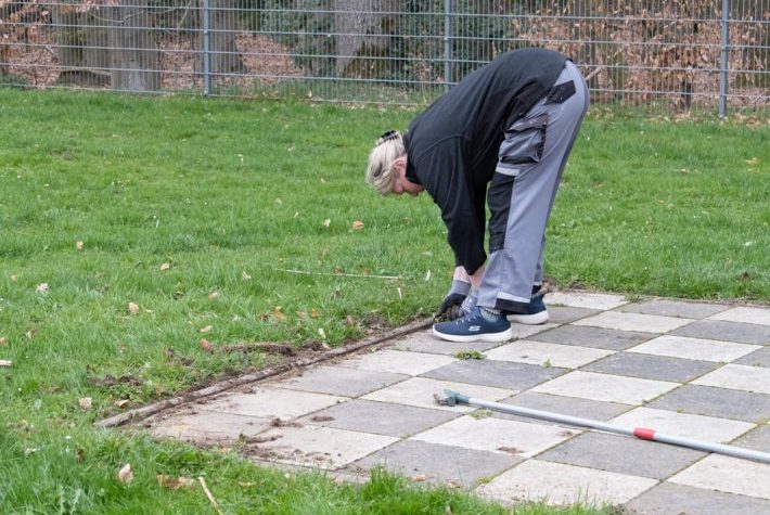 In mühsamer Kleinarbeit wird das Schachbrett vom Bewuchs befreit